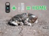 The Lifeline for Stray Pets: How the Isenvo Taeing 190A Reader and Microchip Technology Light Their Way Home