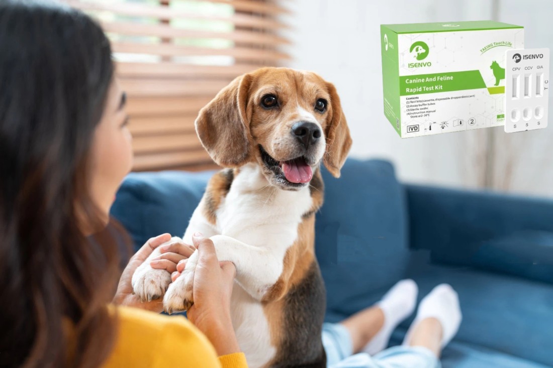 Protecting Your Canine Companion: Why Combined Testing for CCV, CPV, and GIA is Crucial for Your Dog's Health