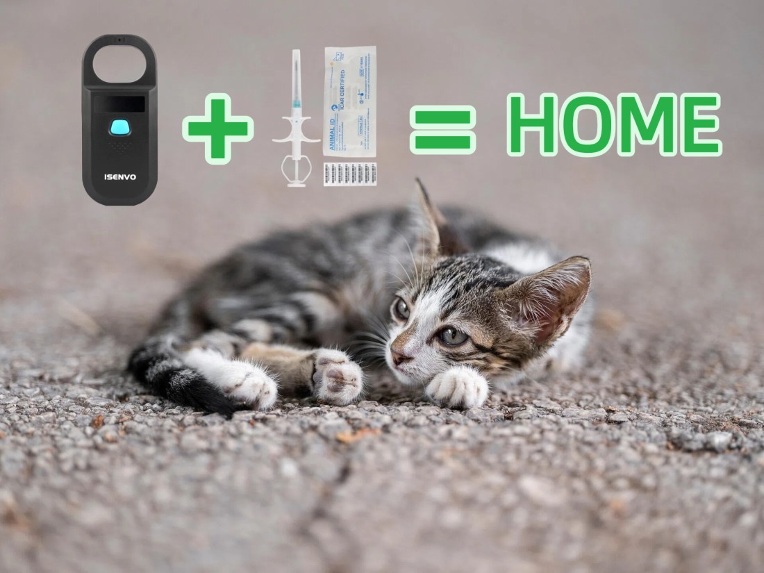 The Lifeline for Stray Pets: How the Isenvo Taeing 190A Reader and Microchip Technology Light Their Way Home