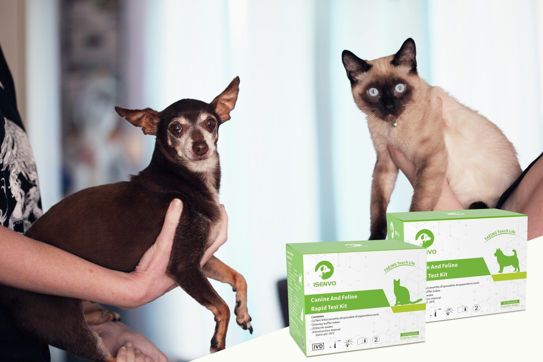 Love Them, Understand Them: Why Pet Home Test Kits Are Essential for Modern Pet Owners