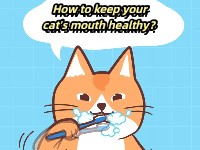 How do pets keep their oral and dental health?
