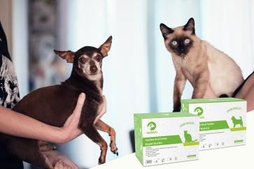 Love Them, Understand Them: Why Pet Home Test Kits Are Essential for Modern Pet Owners