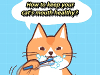 How do pets keep their oral and dental health?