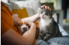 More Than Companionship: The Science Behind How Cats and Dogs Reshape Our Health and Lives