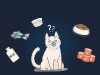 What foods can't cats eat?