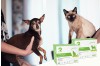 Love Them, Understand Them: Why Pet Home Test Kits Are Essential for Modern Pet Owners